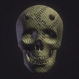 3D Interactive Skull Snake Skin Texture