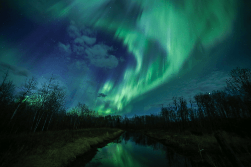 Boreal Dreams