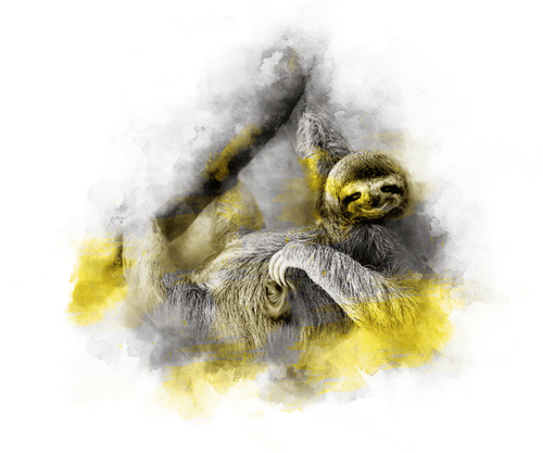 YELLOW SERIES - SLOTH