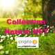 Collection Nature NFT
