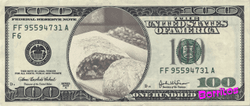 $Dollar Food collection image
