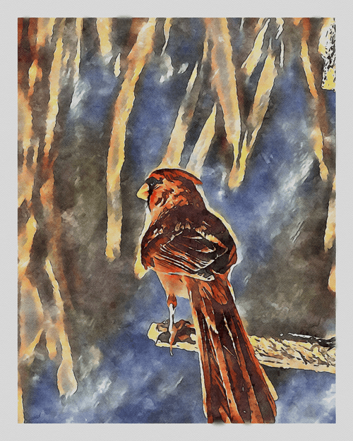 Watercolor - Cardinal 4