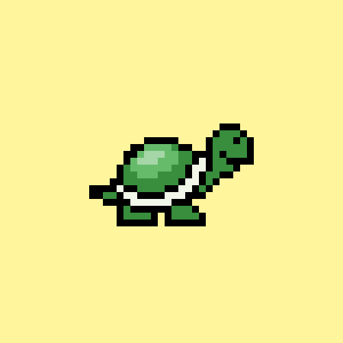 Turtle #351