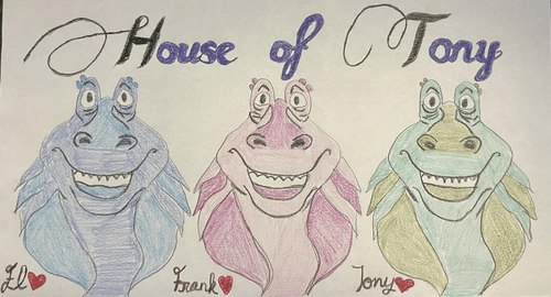 House of Tony!