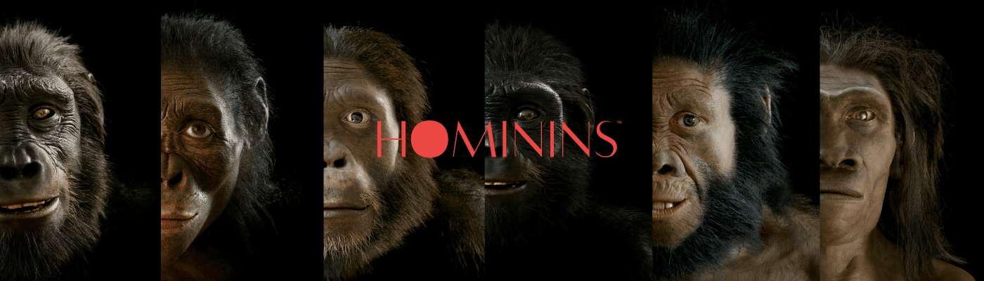 Hominins by HARI Editions