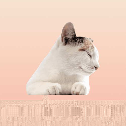 Peaches #30