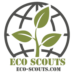 ECO Scout Music collection image