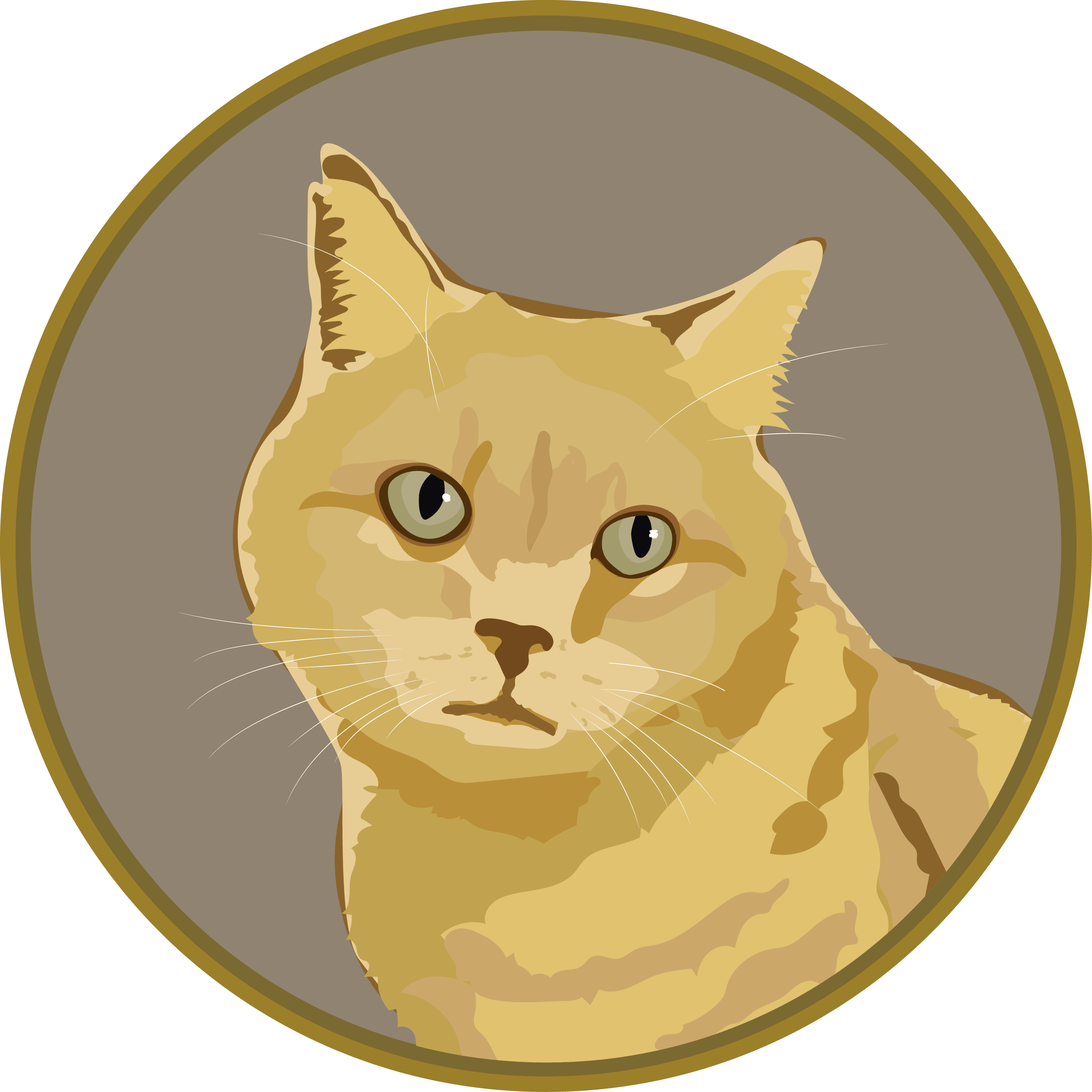 MUSTI #118