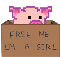 FreeLittlePigs collection image
