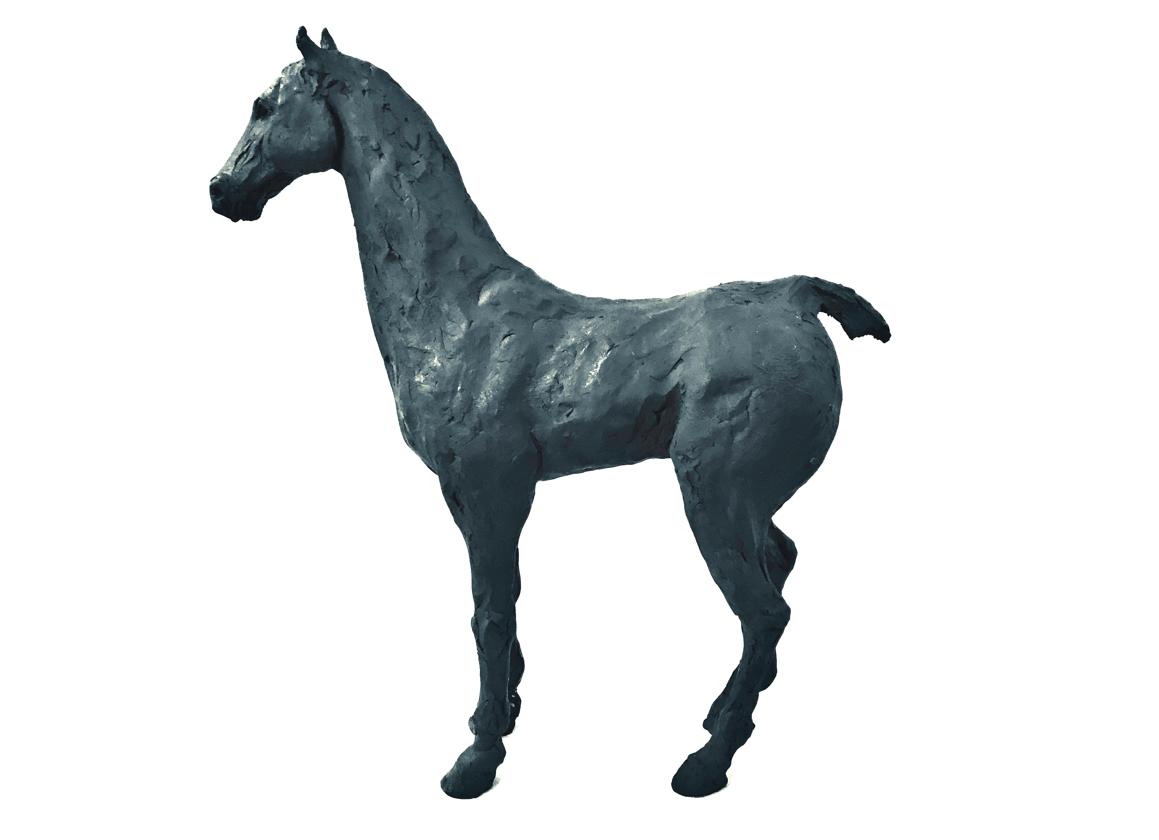 Black Earth Horse