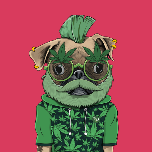 Pug #0013