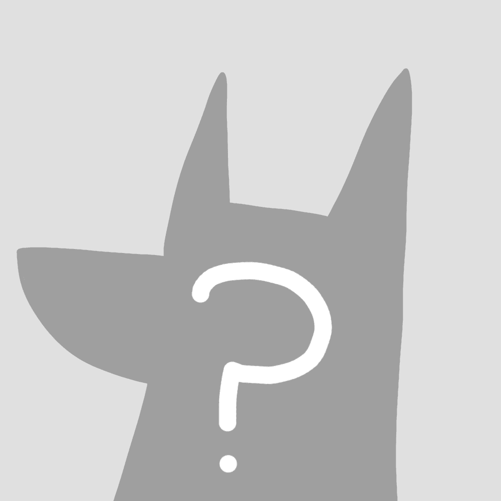 SillyDogs