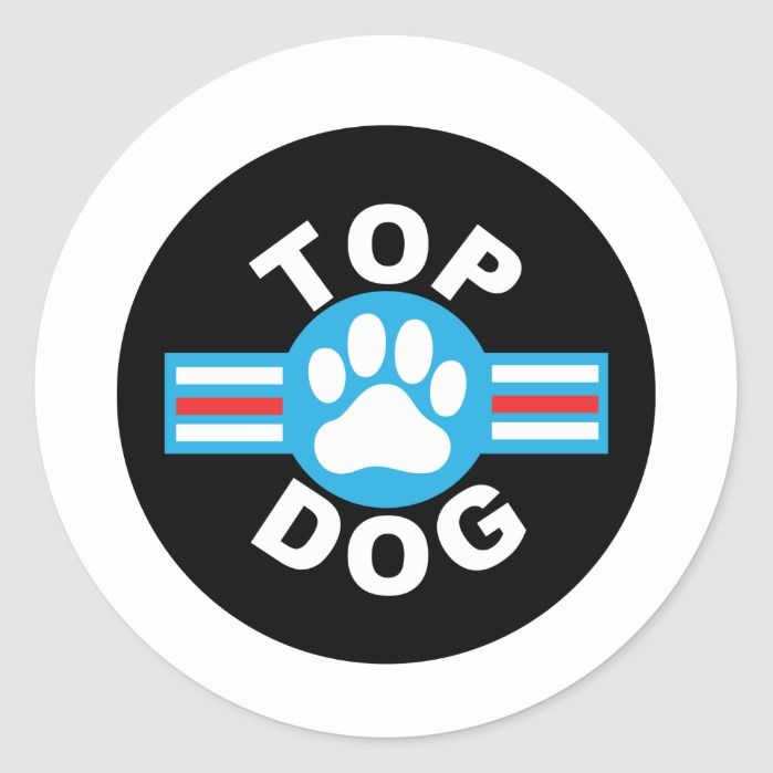 TOP-DOG banner