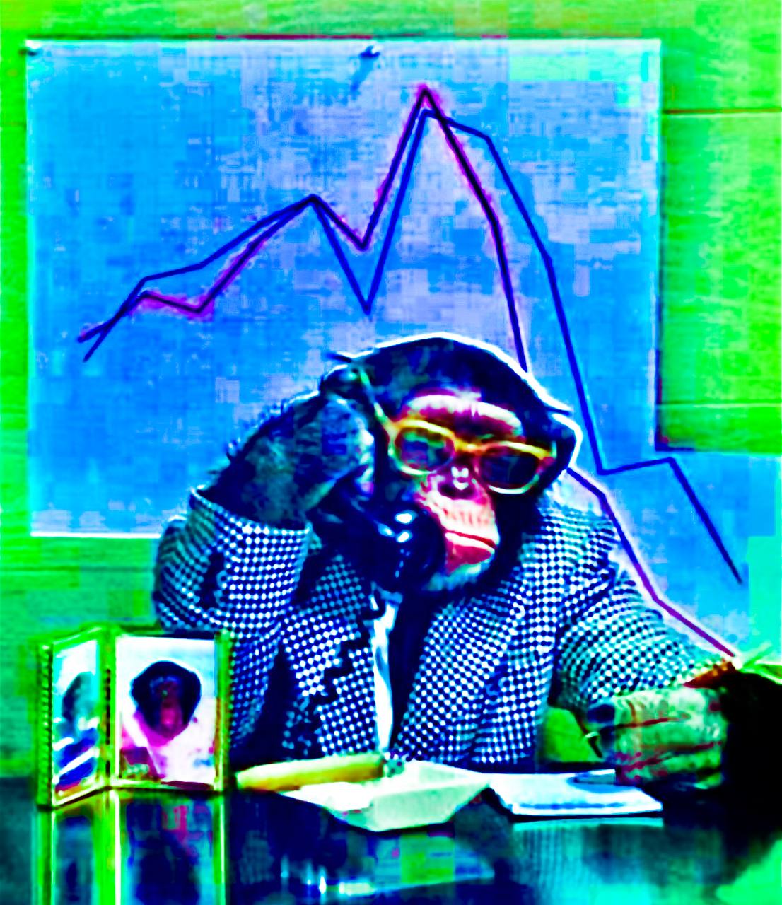 Monkey Trader 2, 2022