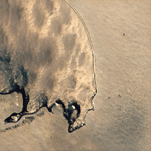 AI Neural Art #39