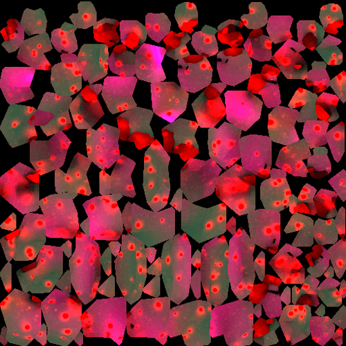 bushes-bake-3.png