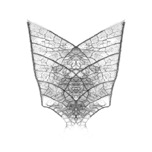 Quanta Capture - 8 of 100 - 授粉