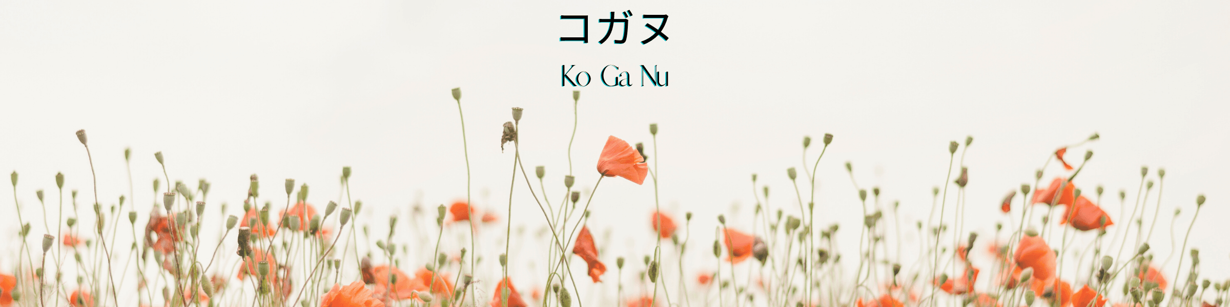 KoGaNu banner