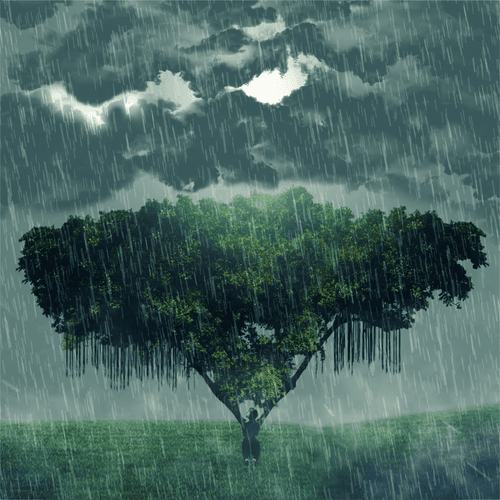 Monsoon