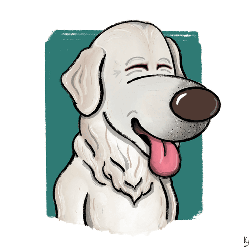 Wilson