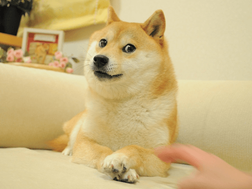 Pixels of The Doge NFT