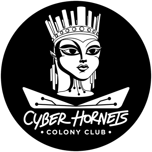 Cyber Hornets Comics