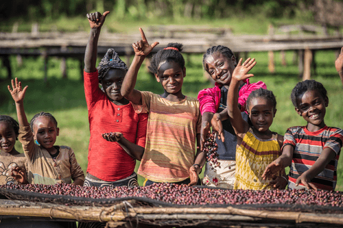 Solar Coffee Project #41 - Hand Signs