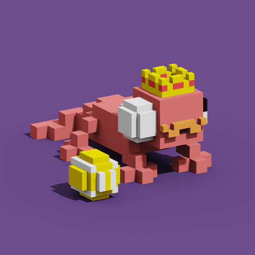 Gecko #992