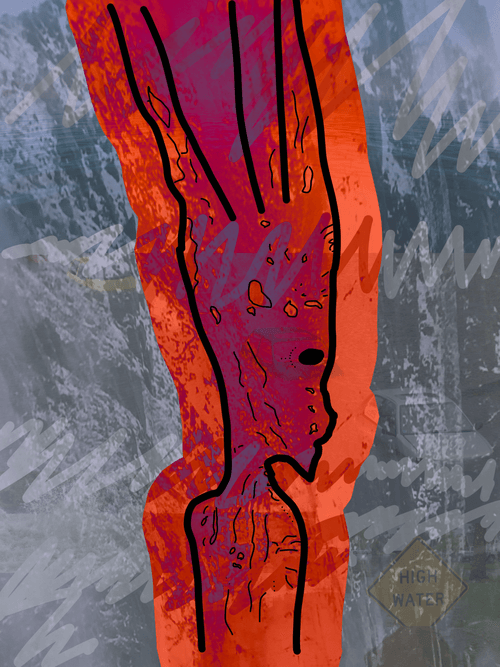 Banff Alien No 13