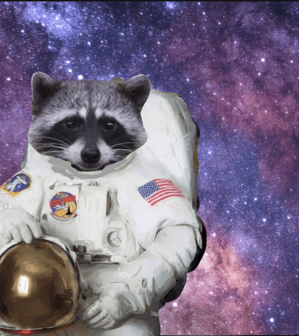 racoon goes to mars - animals in space | OpenSea