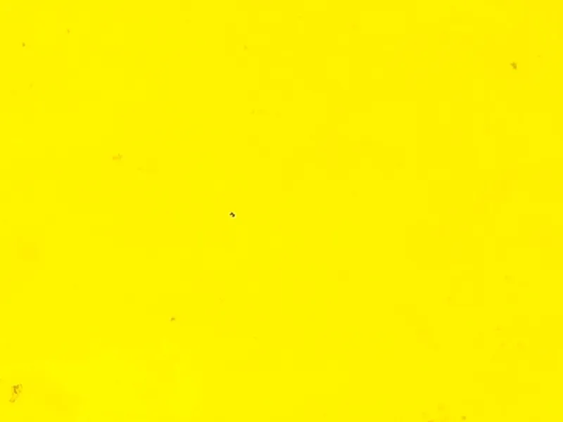 CryptoFinally Verified Yellow Color Frames