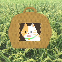 neko tsugura S-MT collection image