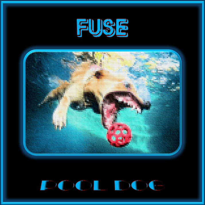 Pool dog - Fuse