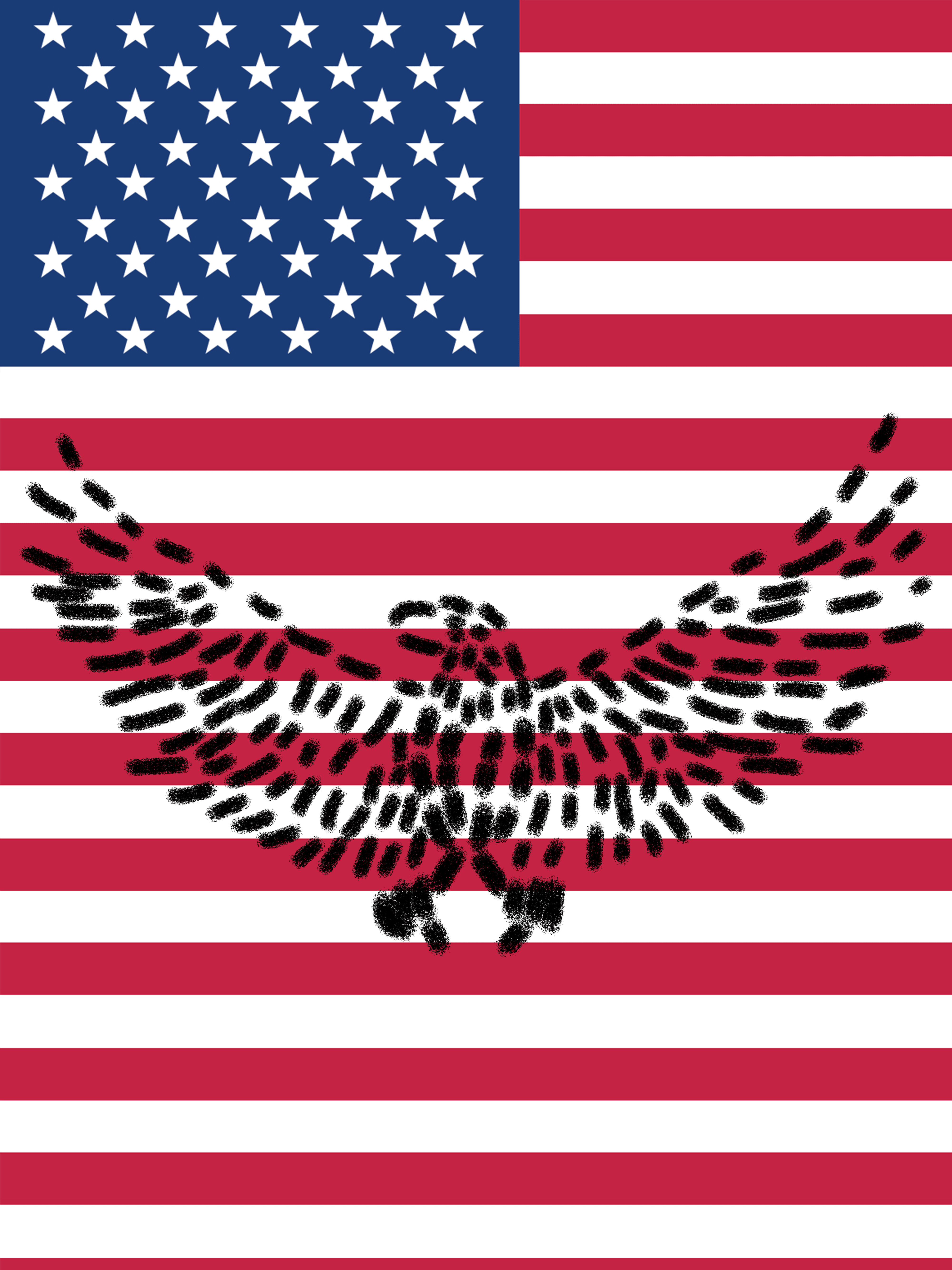 24 # Country Symbol : United States - Bald Eagle
