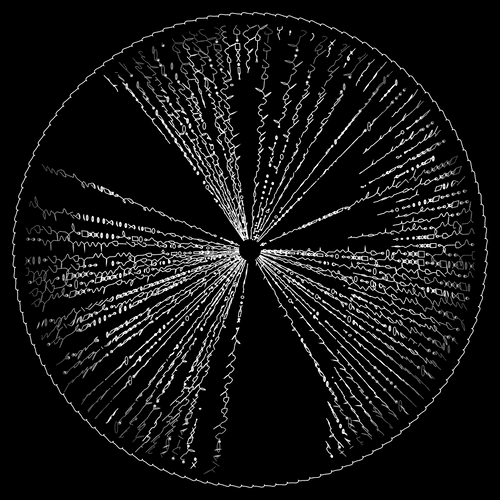 codex 347174322.