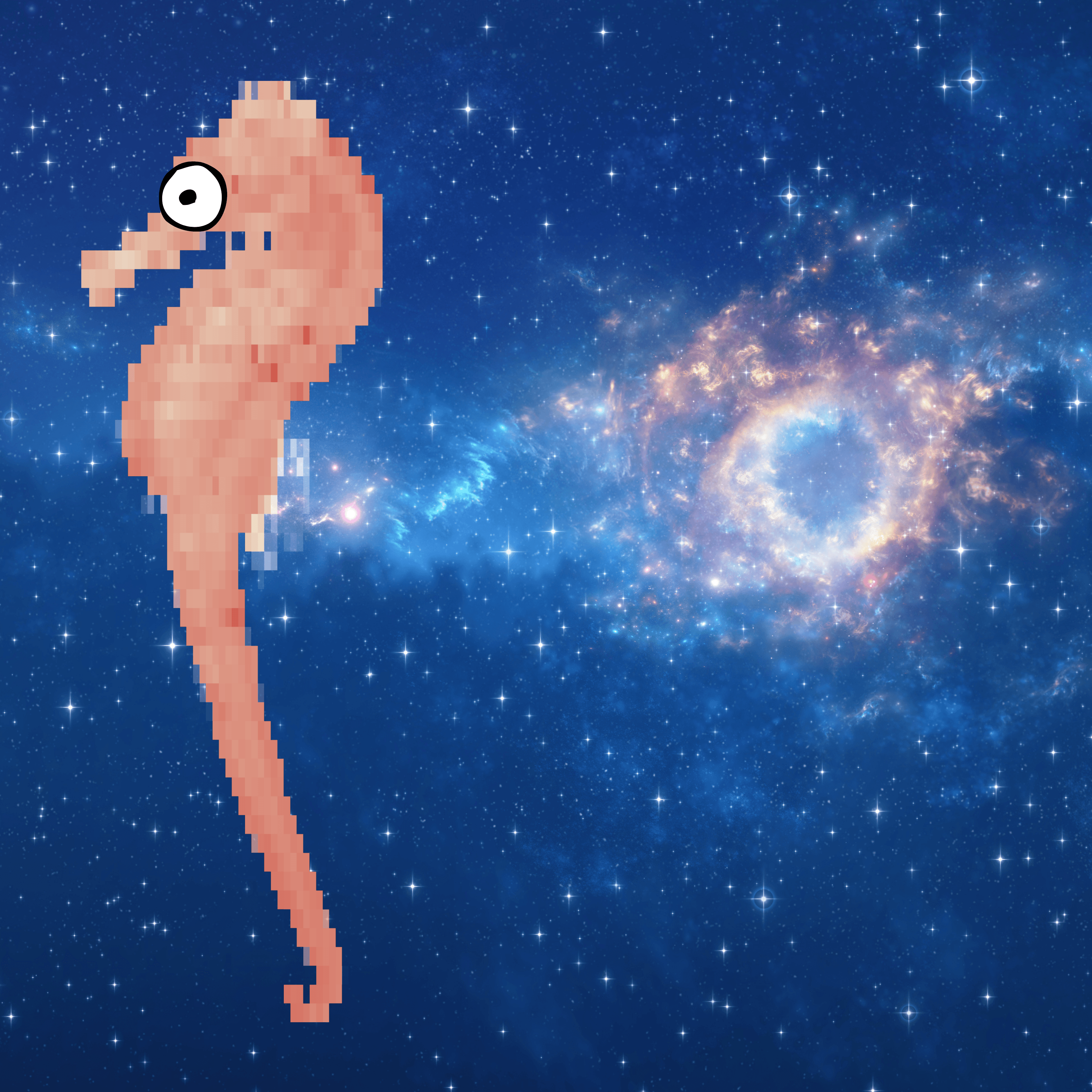 Seahorse in Space XIX