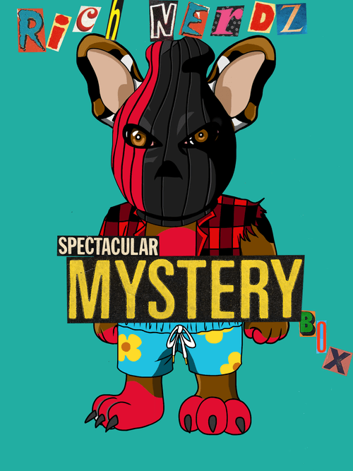 RICHNERDZ  SPECTACULAR MYSTERY BOX