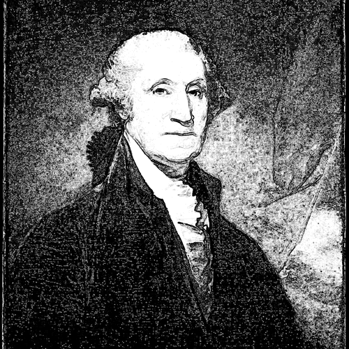 President George Washington Video NFT