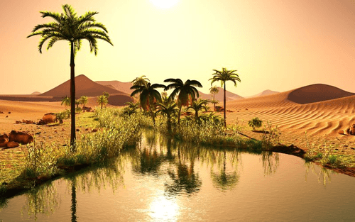 green_land001
