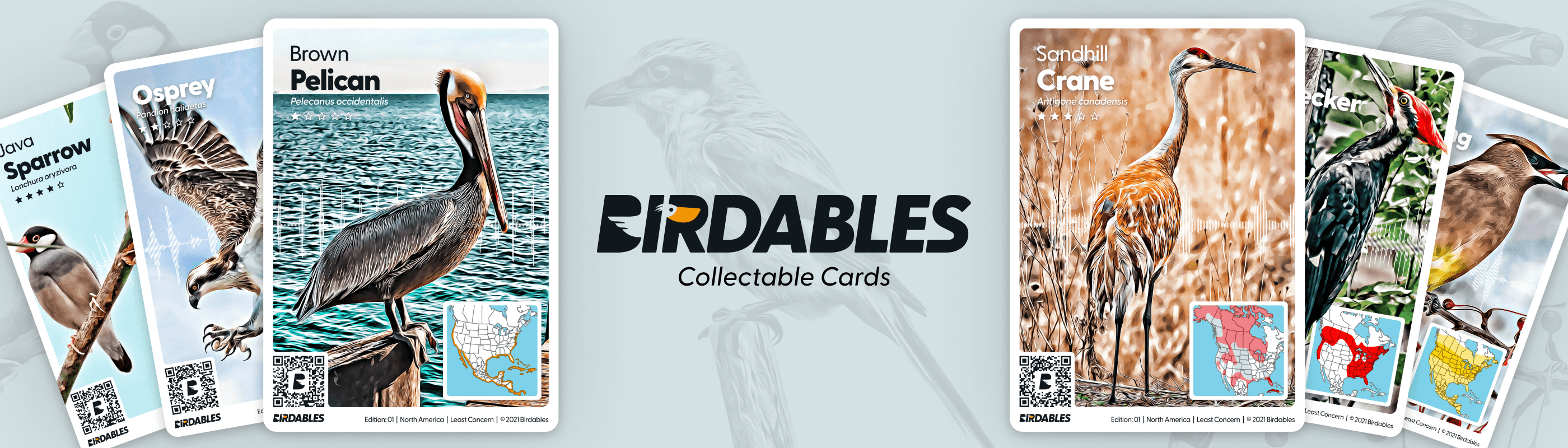 Birdables banner