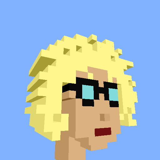 PunkVoxels #2893