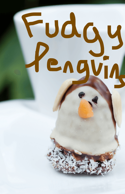 Fudgy Penguin
