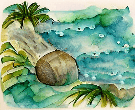 Cocoo the Coconut #4 by Pokemon Dundee