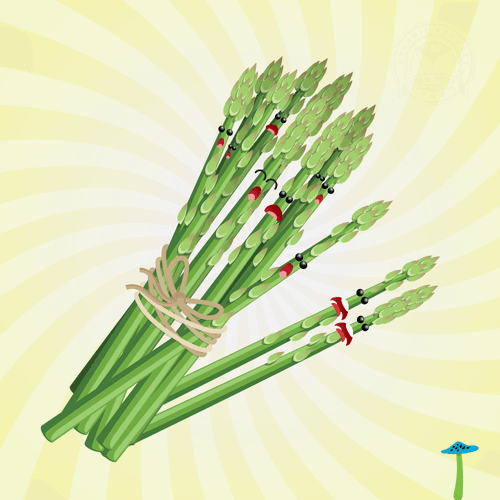 The Asparagus