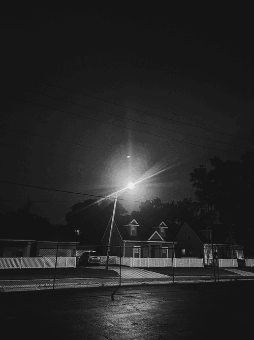 Dlawr: Photo a Day #245