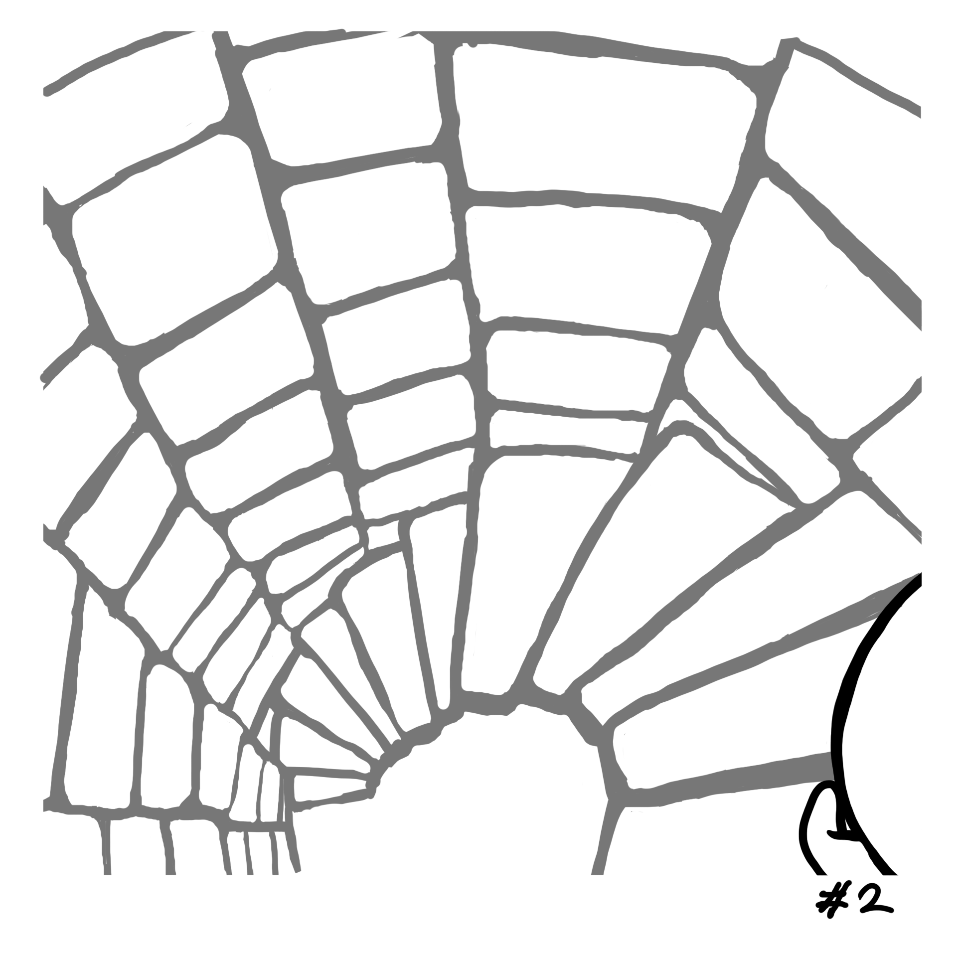 DailyAnimation