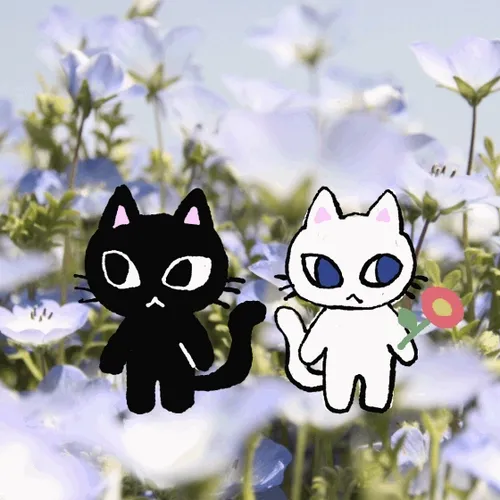 Travelng cats.