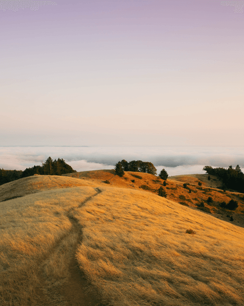Edge of the world, Mount Tamalpais 