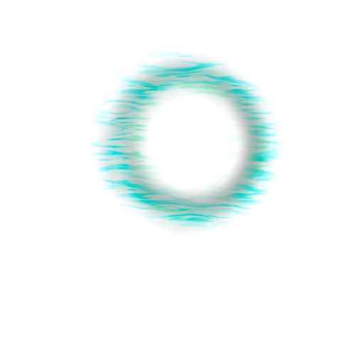 JUST CIRCLES