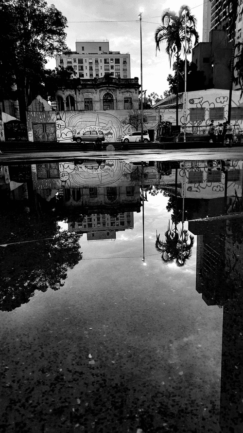 SP-ConcreteJungle
